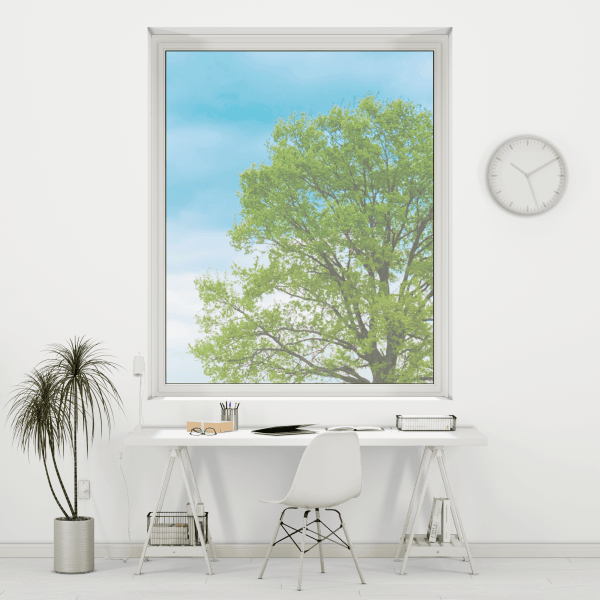 Koka žalūzijas (50 mm)