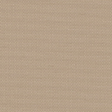 BERLIN HONEY 0310 2m