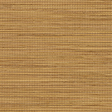 JUNO HONEY 2330 2.3m